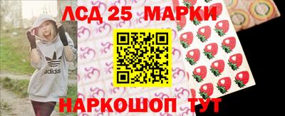 гидропоника Тверь